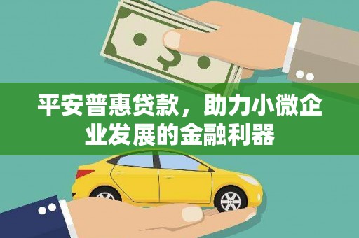 单县平安普惠贷款，助力小微企业发展的金融利器