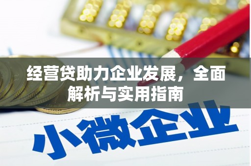 单县经营贷助力企业发展，全面解析与实用指南