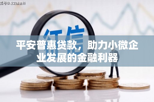 单县平安普惠贷款，助力小微企业发展的金融利器
