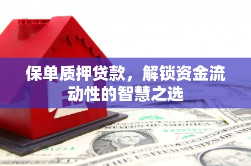 单县保单质押贷款，解锁资金流动性的智慧之选