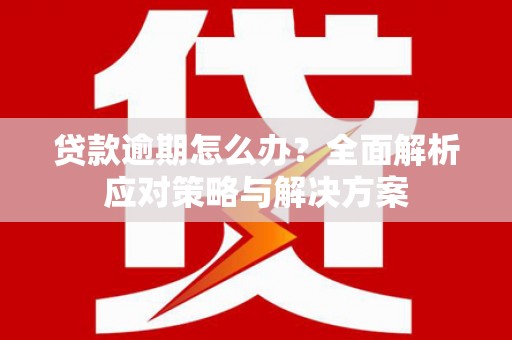 单县贷款逾期怎么办？全面解析应对策略与解决方案