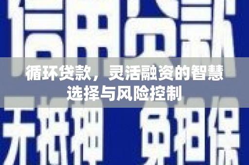 单县循环贷款，灵活融资的智慧选择与风险控制