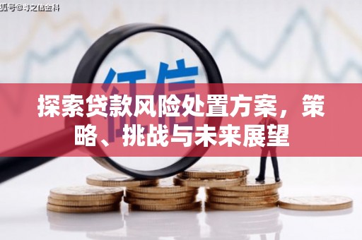 单县探索贷款风险处置方案，策略、挑战与未来展望