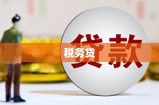 单县税务贷