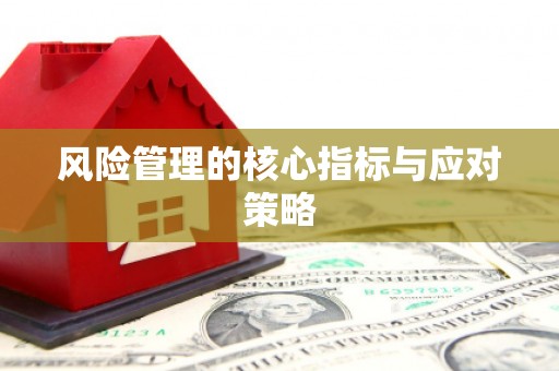 单县风险管理的核心指标与应对策略