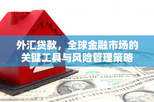 单县外汇贷款，全球金融市场的关键工具与风险管理策略