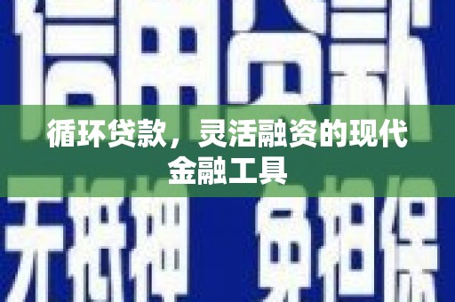 单县循环贷款，灵活融资的现代金融工具