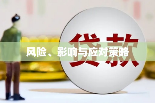 单县风险、影响与应对策略