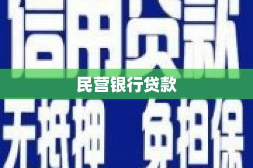 单县民营银行贷款