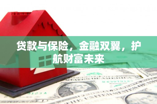 单县贷款与保险，金融双翼，护航财富未来