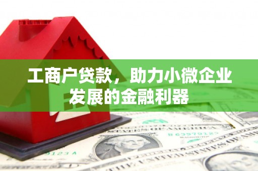 单县工商户贷款，助力小微企业发展的金融利器