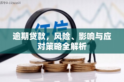 单县逾期贷款，风险、影响与应对策略全解析