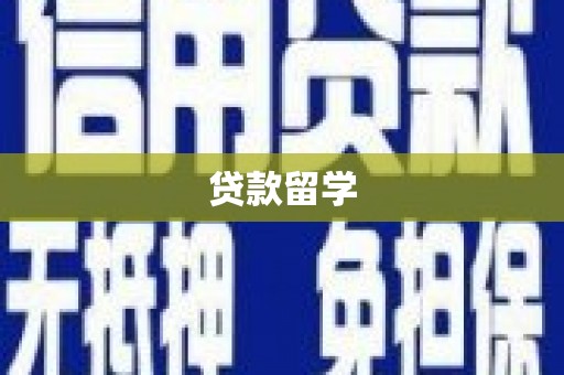 单县贷款留学