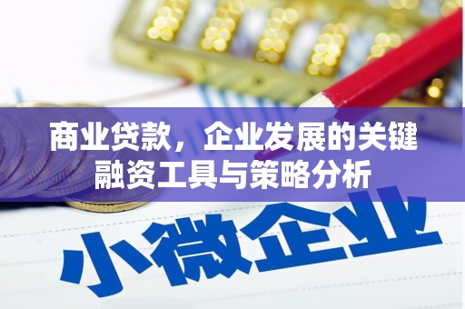 单县商业贷款，企业发展的关键融资工具与策略分析
