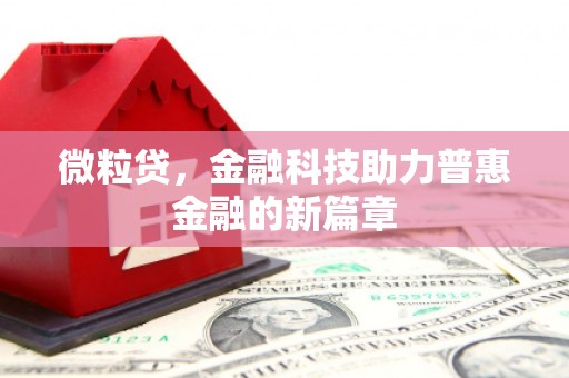 单县微粒贷，金融科技助力普惠金融的新篇章