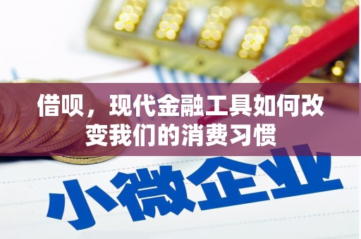 单县借呗，现代金融工具如何改变我们的消费习惯