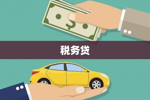 单县税务贷