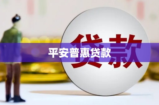 单县平安普惠贷款