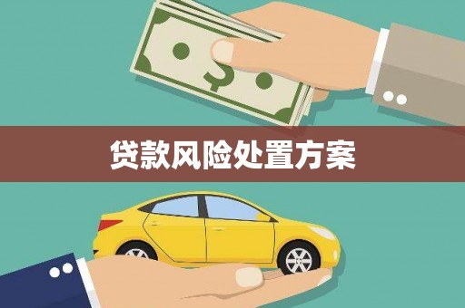 单县贷款风险处置方案