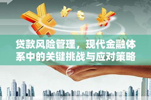 单县贷款风险管理，现代金融体系中的关键挑战与应对策略