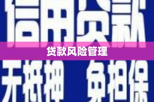 单县贷款风险管理