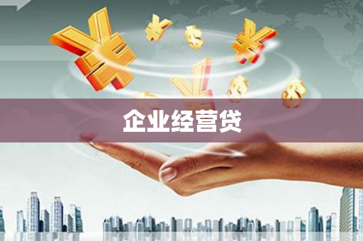 单县企业经营贷