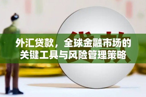 单县外汇贷款，全球金融市场的关键工具与风险管理策略