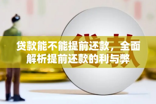单县贷款能不能提前还款，全面解析提前还款的利与弊