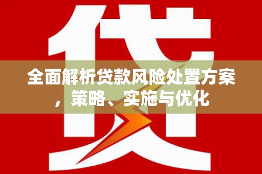 单县全面解析贷款风险处置方案，策略、实施与优化