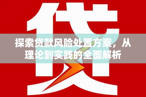 单县探索贷款风险处置方案，从理论到实践的全面解析