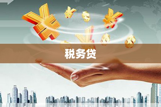 单县税务贷