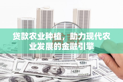 单县贷款农业种植，助力现代农业发展的金融引擎