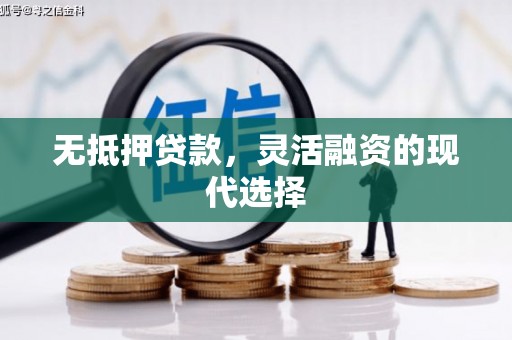 单县无抵押贷款，灵活融资的现代选择