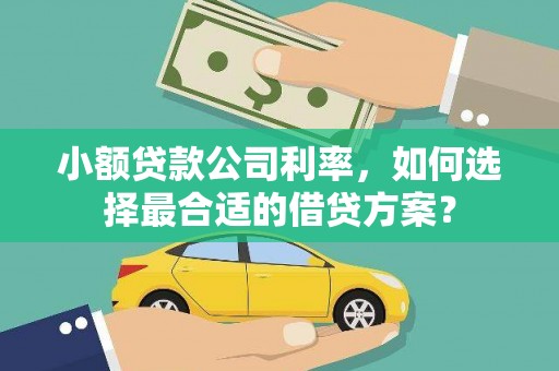 单县小额贷款公司利率，如何选择最合适的借贷方案？