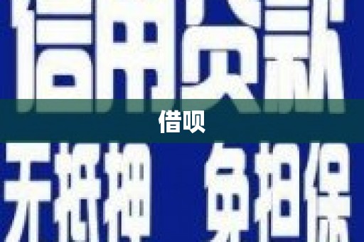 单县借呗
