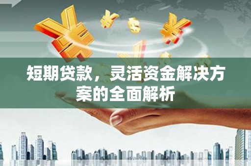 单县短期贷款，灵活资金解决方案的全面解析