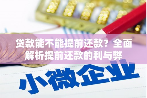 单县贷款能不能提前还款？全面解析提前还款的利与弊