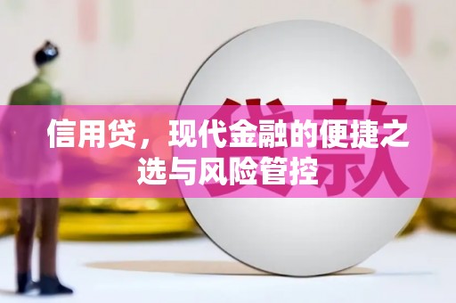 单县信用贷，现代金融的便捷之选与风险管控