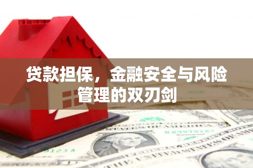 单县贷款担保，金融安全与风险管理的双刃剑
