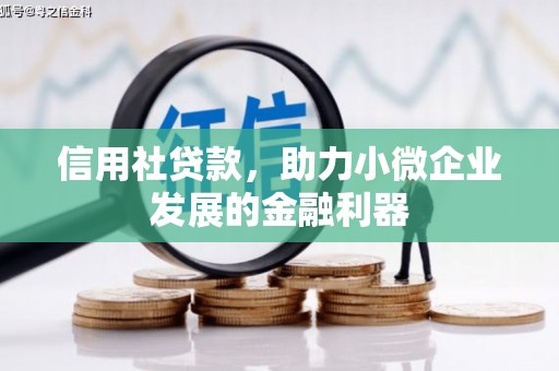 单县信用社贷款，助力小微企业发展的金融利器