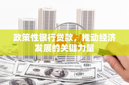 单县政策性银行贷款，推动经济发展的关键力量
