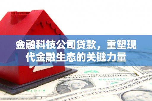 单县金融科技公司贷款，重塑现代金融生态的关键力量