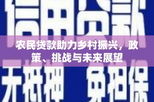 单县农民贷款助力乡村振兴，政策、挑战与未来展望