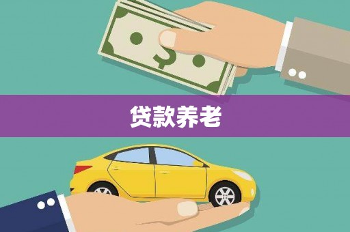 单县贷款养老