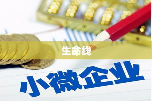 单县生命线