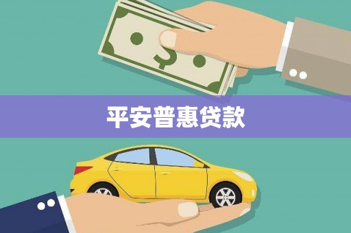 单县平安普惠贷款