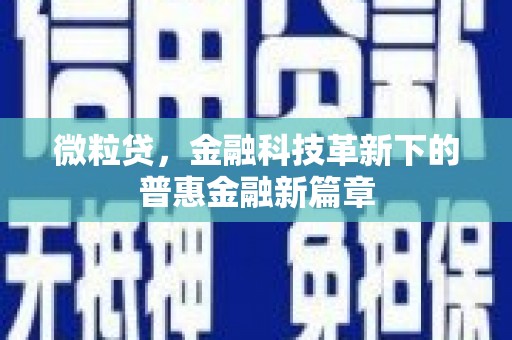 单县微粒贷，金融科技革新下的普惠金融新篇章