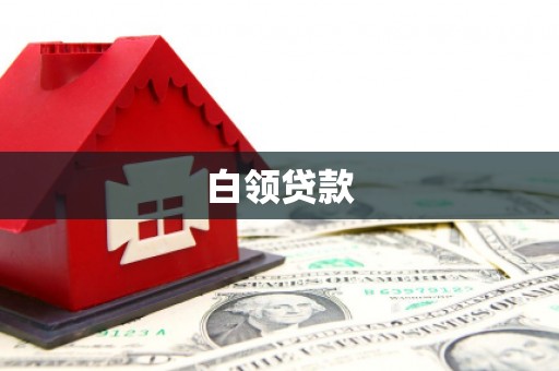 单县白领贷款
