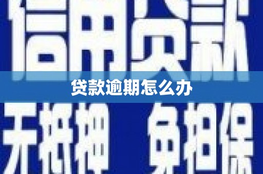 单县贷款逾期怎么办