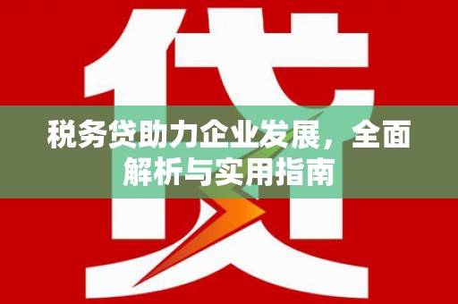 单县税务贷助力企业发展，全面解析与实用指南